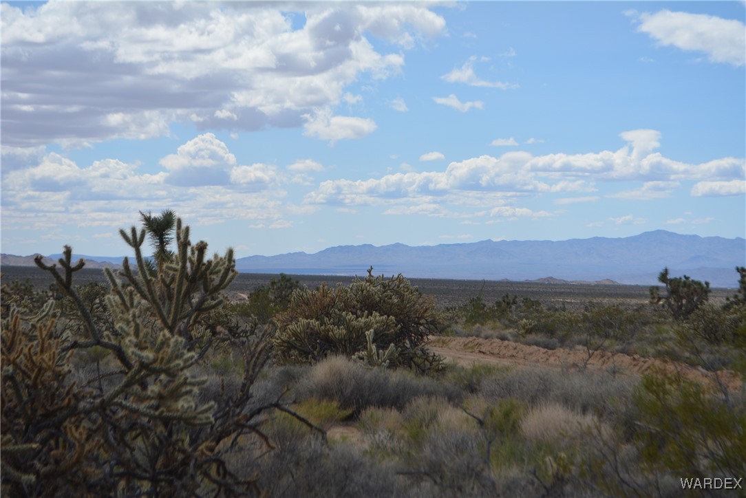 11900 Alan Road Yucca, AZ 86438 - Photo 65 of 99 View