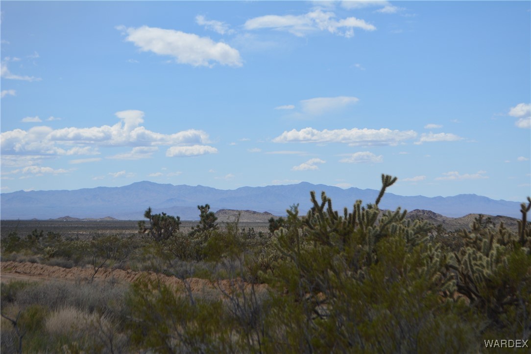 11900 Alan Road Yucca, AZ 86438 - Photo 66 of 99 View