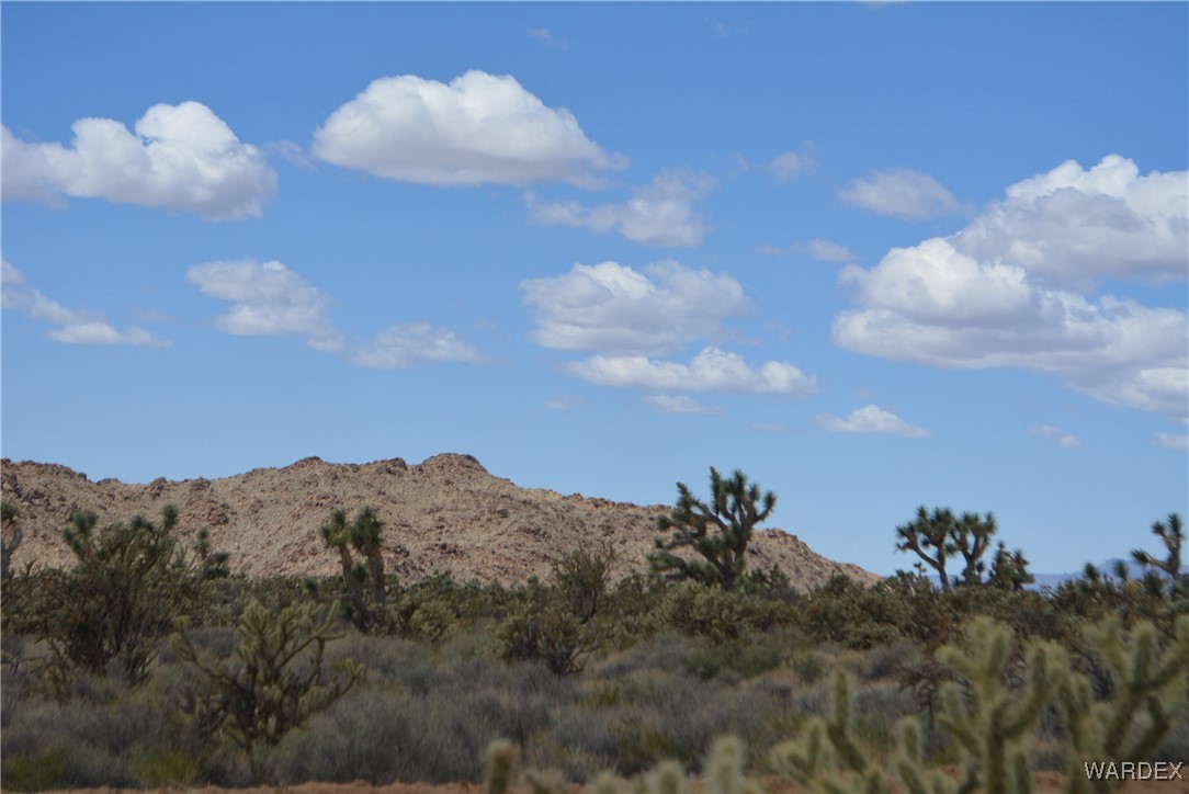 11900 Alan Road Yucca, AZ 86438 - Photo 71 of 99 View