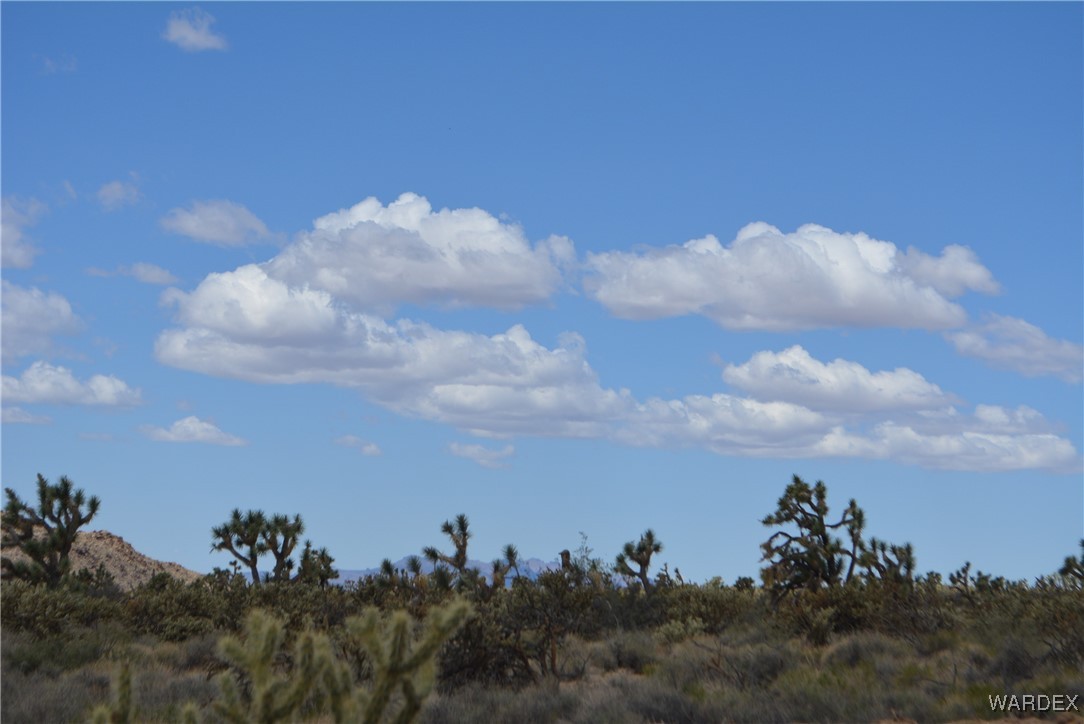 11900 Alan Road Yucca, AZ 86438 - Photo 72 of 99 Other