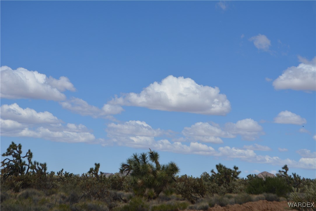 11900 Alan Road Yucca, AZ 86438 - Photo 73 of 99 Other