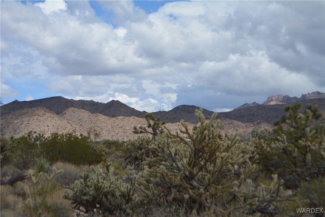 11900 Alan Road Yucca, AZ 86438 - Photo 75 of 99 View
