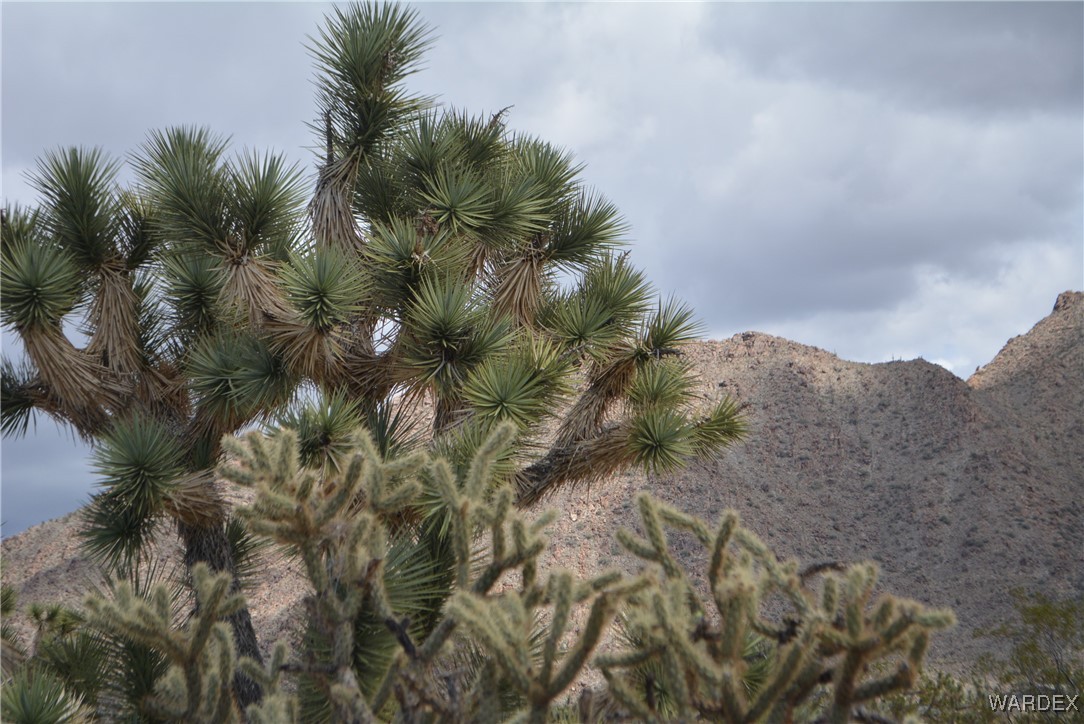 11900 Alan Road Yucca, AZ 86438 - Photo 80 of 99 View