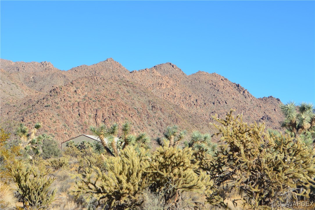 11900 Alan Road Yucca, AZ 86438 - Photo 8 of 99 Hualapai Mountains