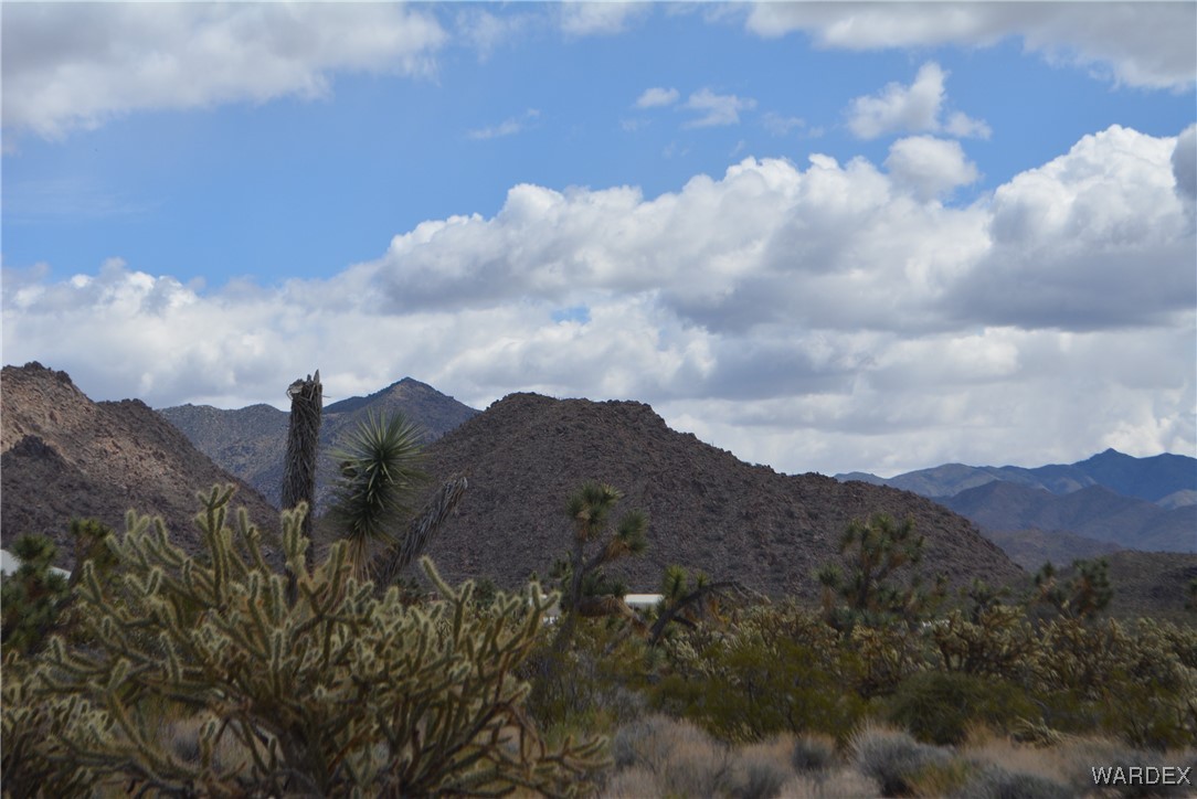 11900 Alan Road Yucca, AZ 86438 - Photo 81 of 99 View