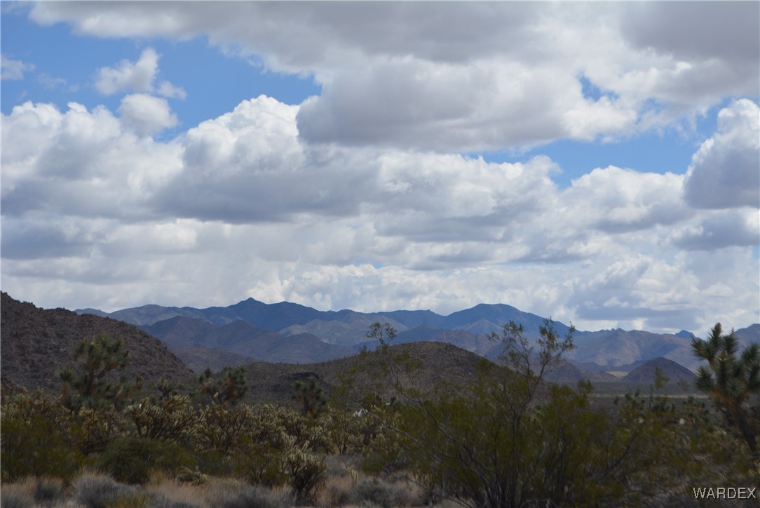 11900 Alan Road Yucca, AZ 86438 - Photo 82 of 99 View
