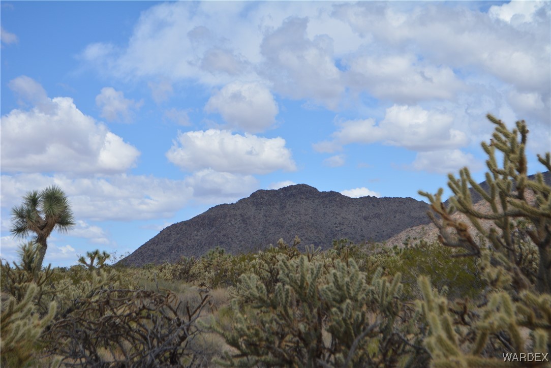 11900 Alan Road Yucca, AZ 86438 - Photo 84 of 99 View