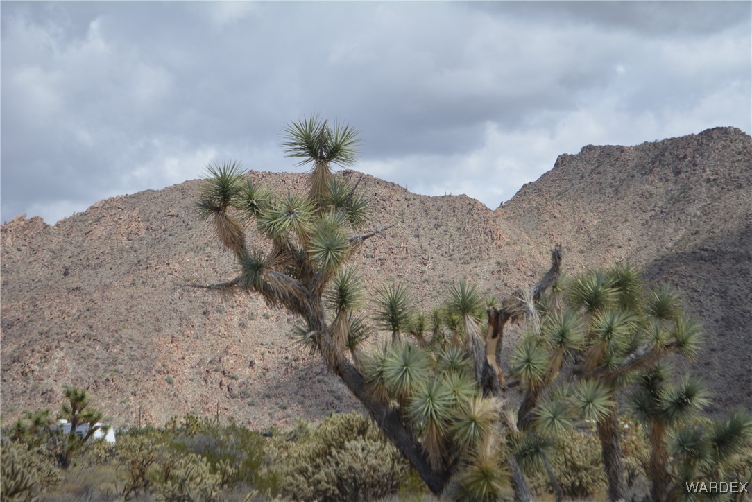 11900 Alan Road Yucca, AZ 86438 - Photo 85 of 99 View