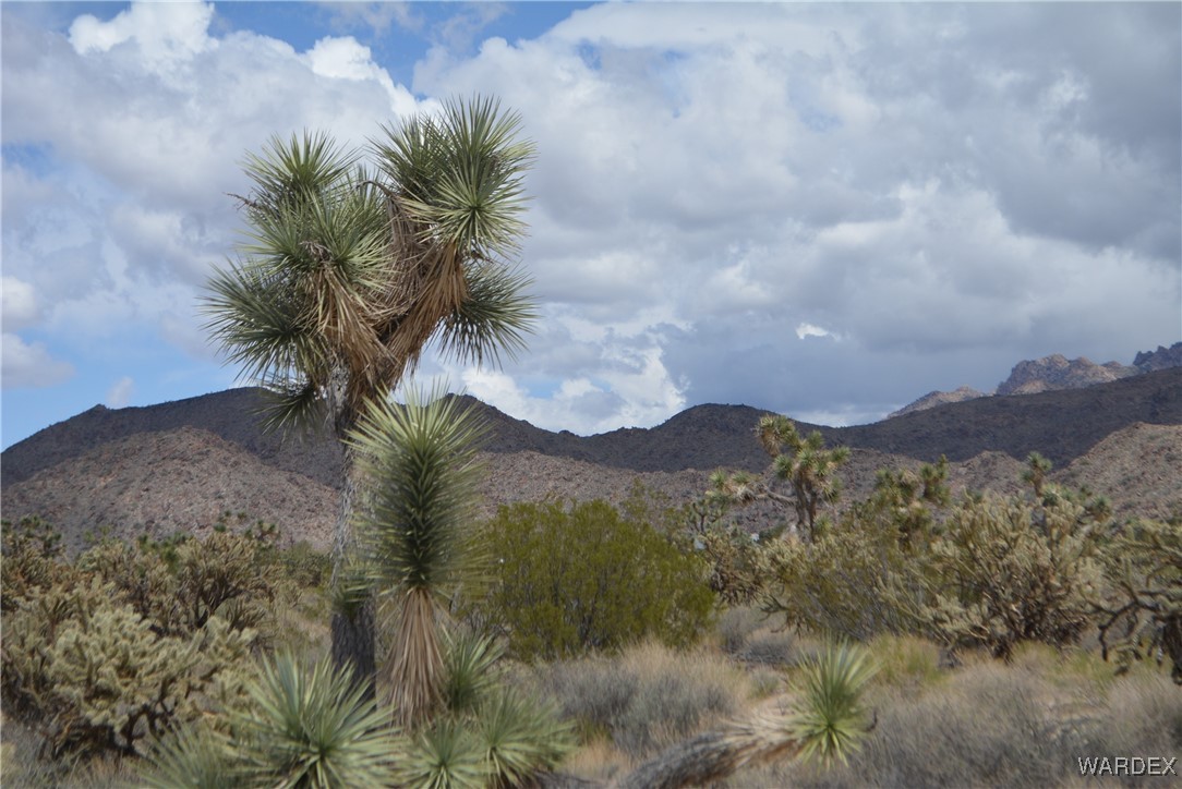 11900 Alan Road Yucca, AZ 86438 - Photo 86 of 99 View