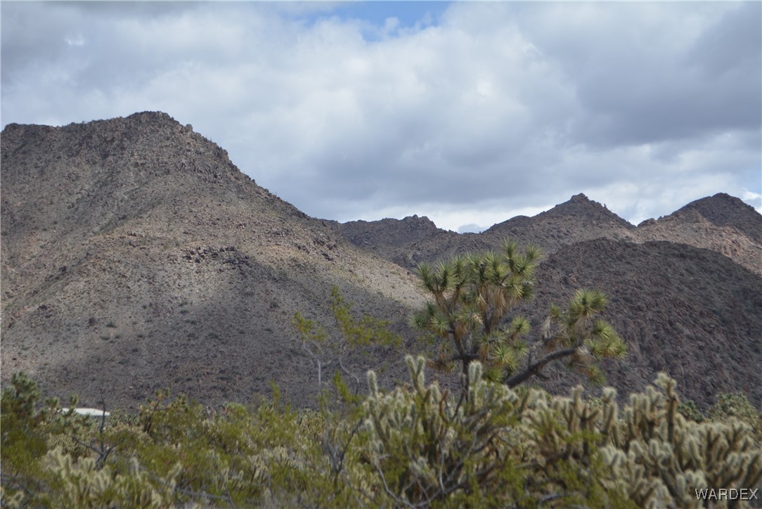 11900 Alan Road Yucca, AZ 86438 - Photo 88 of 99 View