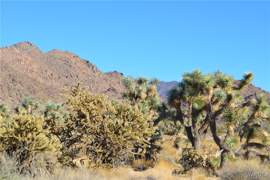 11900 Alan Road Yucca, AZ 86438 - Photo 9 of 99 Hualapai Mountains