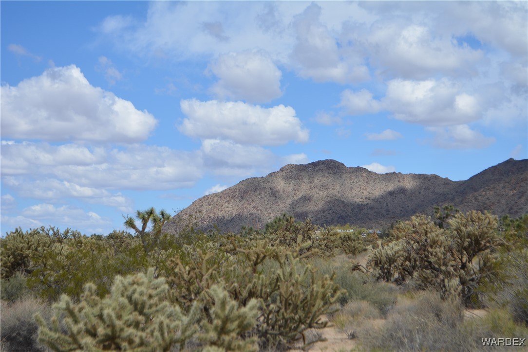 11900 Alan Road Yucca, AZ 86438 - Photo 92 of 99 View