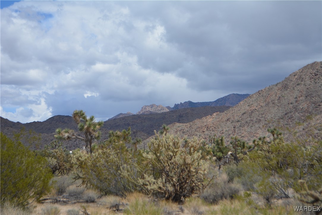 11900 Alan Road Yucca, AZ 86438 - Photo 93 of 99 View