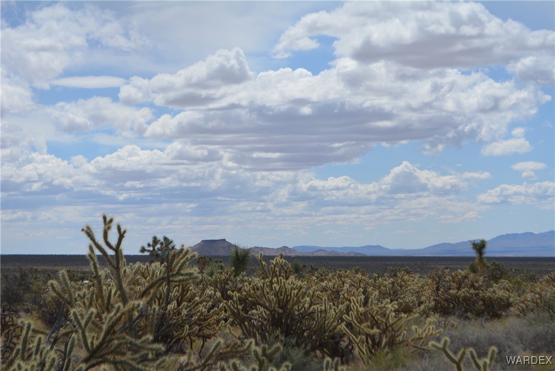 11900 Alan Road Yucca, AZ 86438 - Photo 95 of 99 View