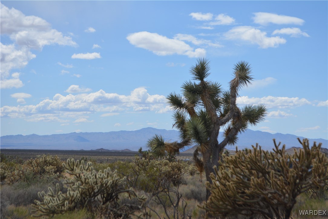 11900 Alan Road Yucca, AZ 86438 - Photo 96 of 99 View