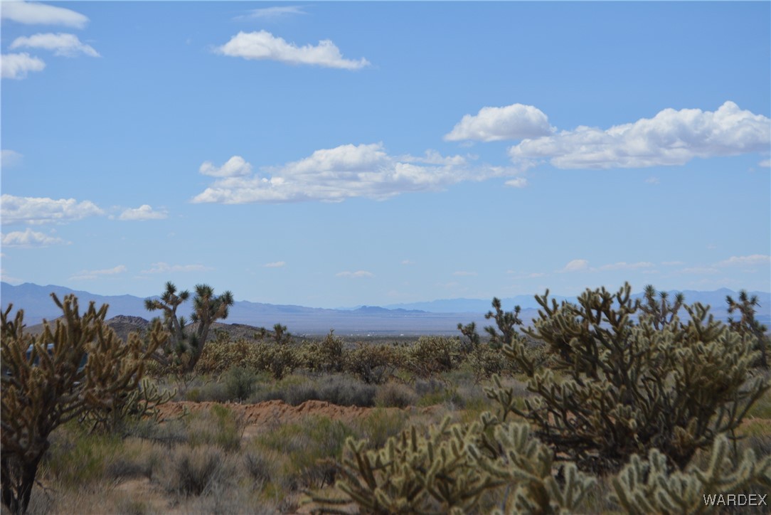 11900 Alan Road Yucca, AZ 86438 - Photo 97 of 99 View