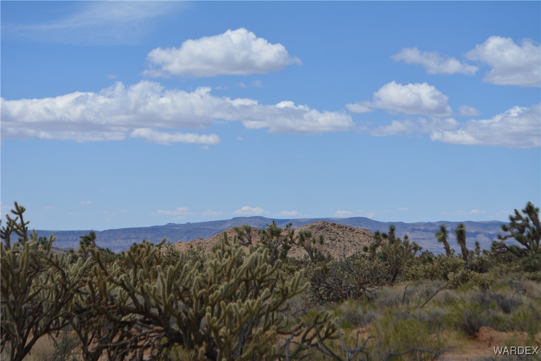 11900 Alan Road Yucca, AZ 86438 - Photo 99 of 99 View