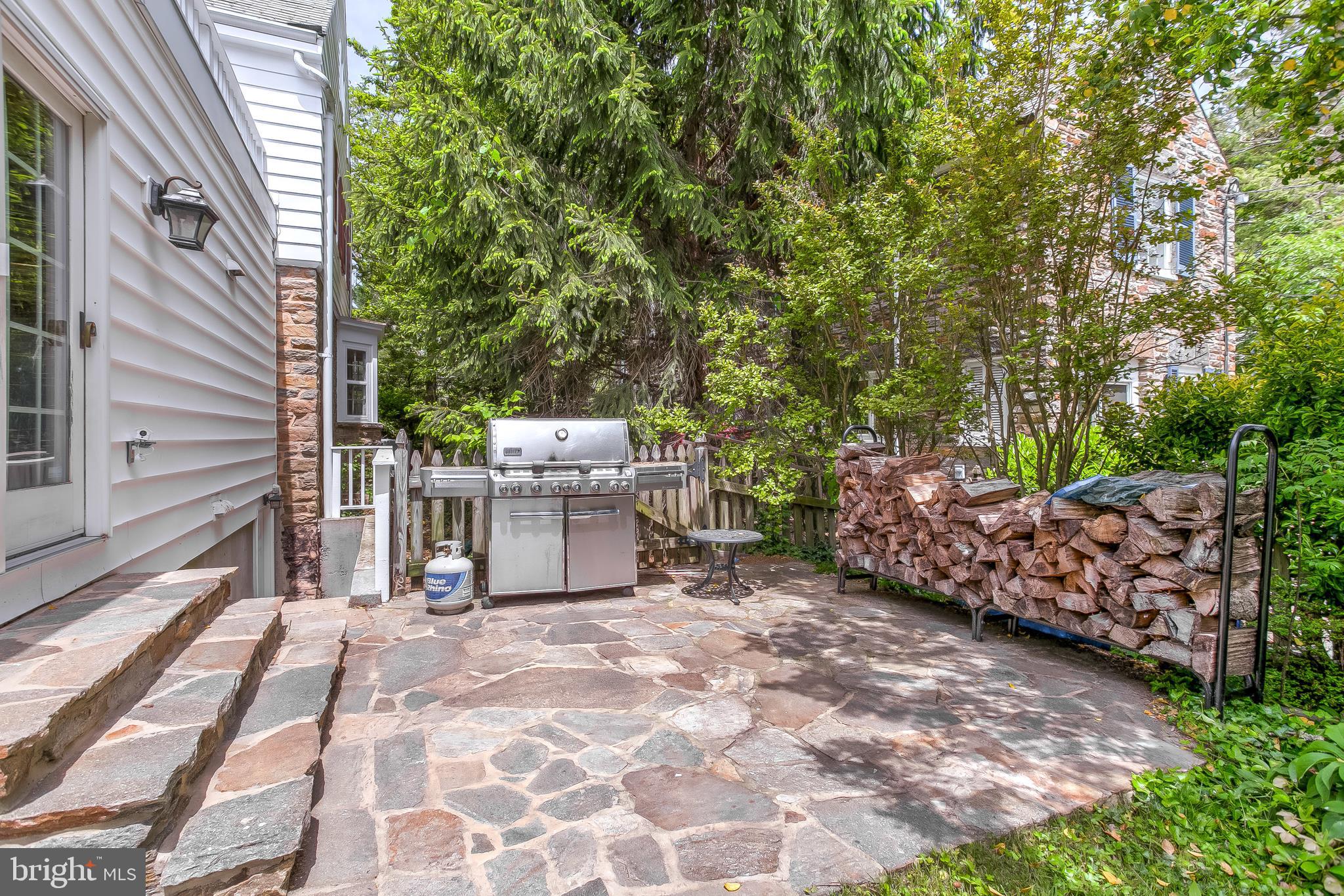 213 Upnor Road Baltimore, MD 21212 - Photo 35 of 39 Rear Exterior (Patio)