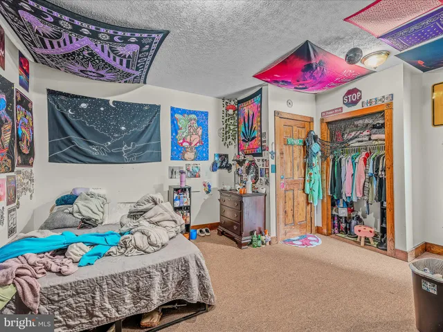 a view of a house with a yard and plants