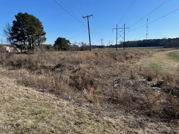 a view of a dry yard