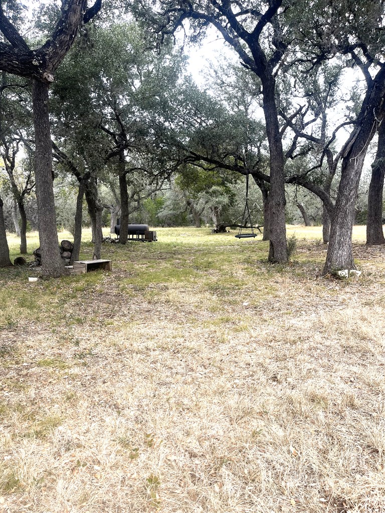 695 Big Shades Road Concan, TX 78838 - Photo 14 of 27