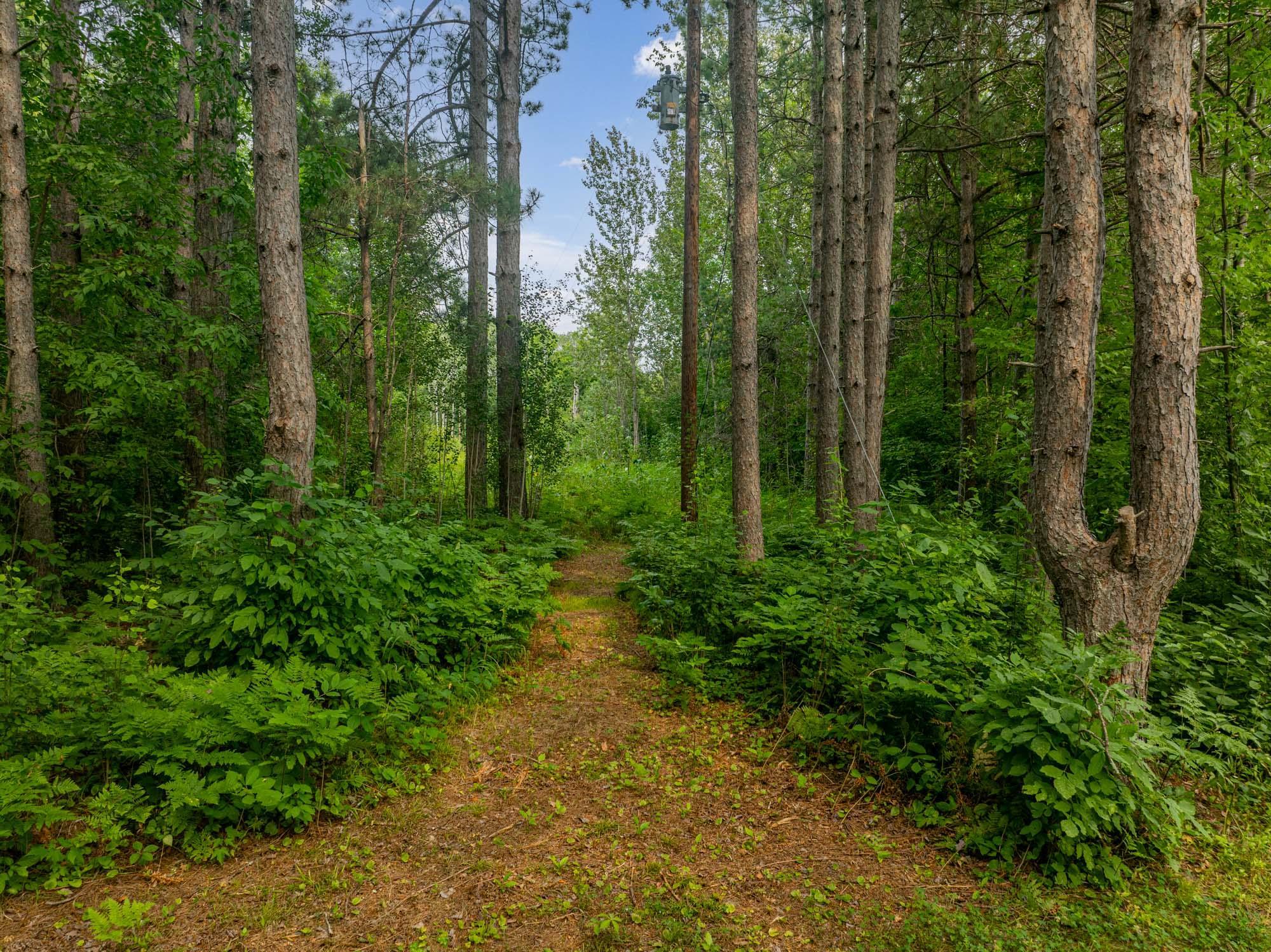 Tbd Hanson Lake Road Grand Rapids, MN 55744 - Photo 2 of 18 Gallery Image 2