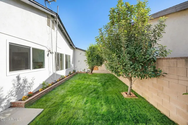 a view of a backyard with plants and large tree