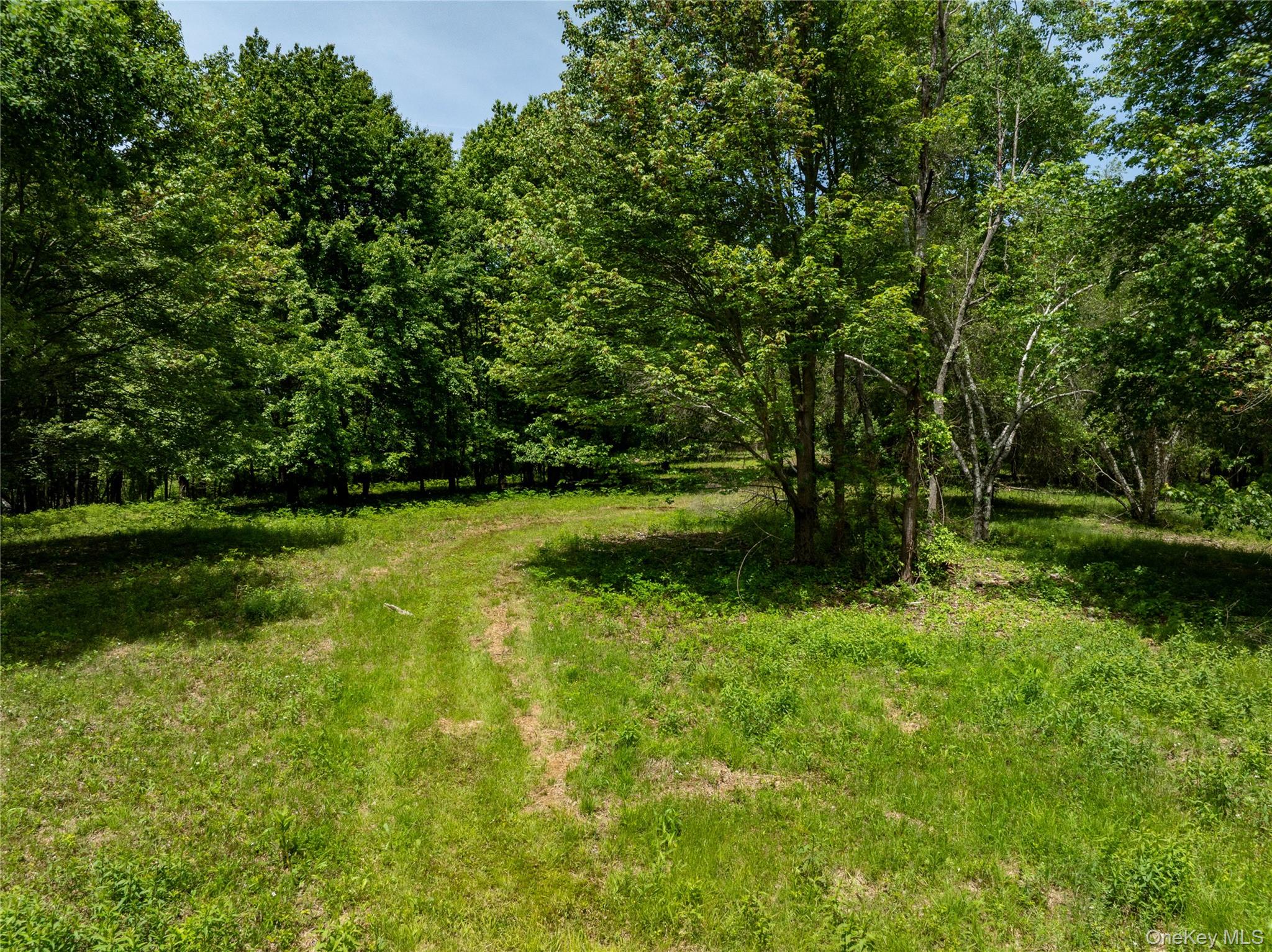 0 Route 7 Copake, NY 12516 - Photo 11 of 40 a view of a lake with a yard