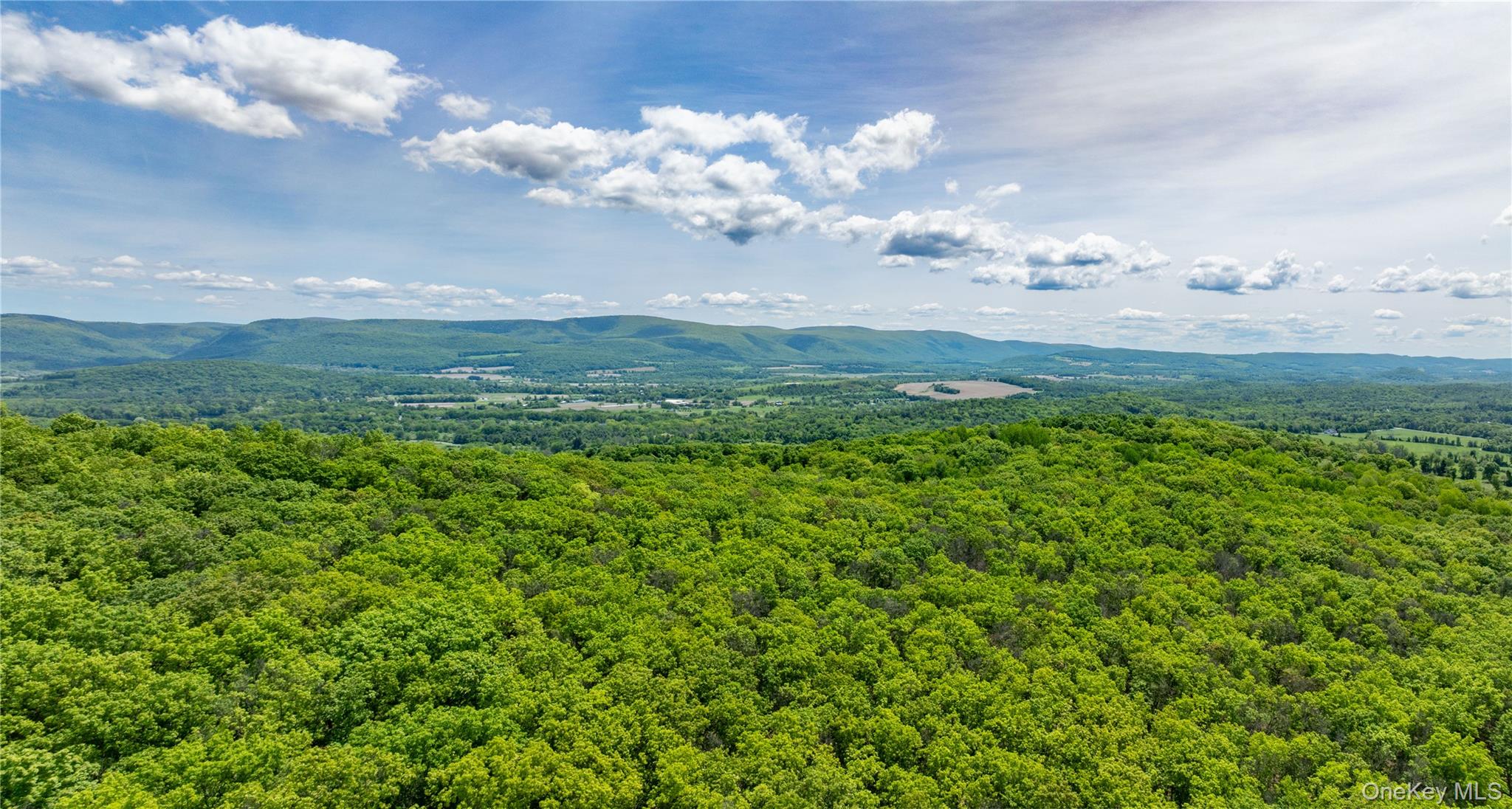 0 Route 7 Copake, NY 12516 - Photo 13 of 40 a view of a big yard with lots of green space and mountain view