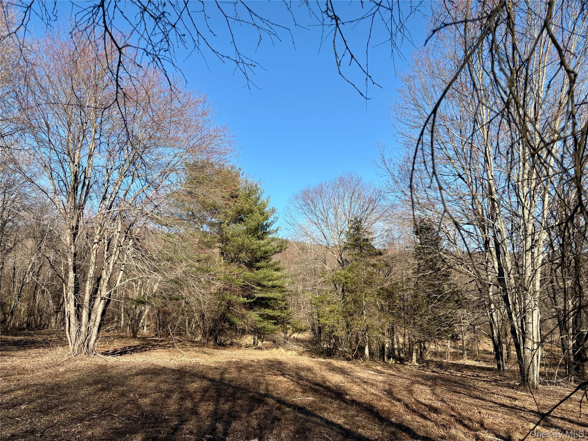 0 Route 7 Copake, NY 12516 - Photo 15 of 40 a view of outdoor space and yard