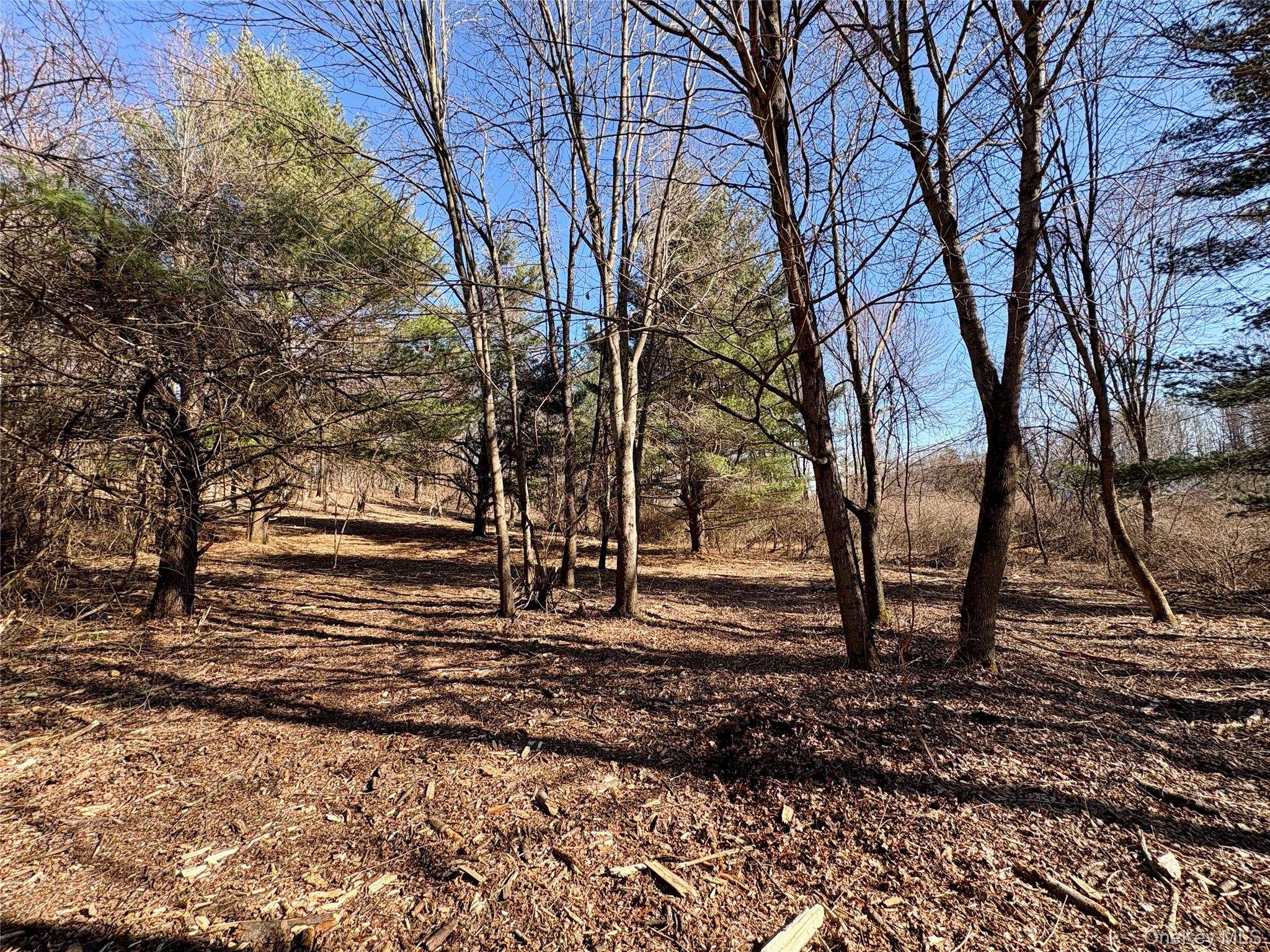 0 Route 7 Copake, NY 12516 - Photo 16 of 40 a backyard of a house with lots of green space