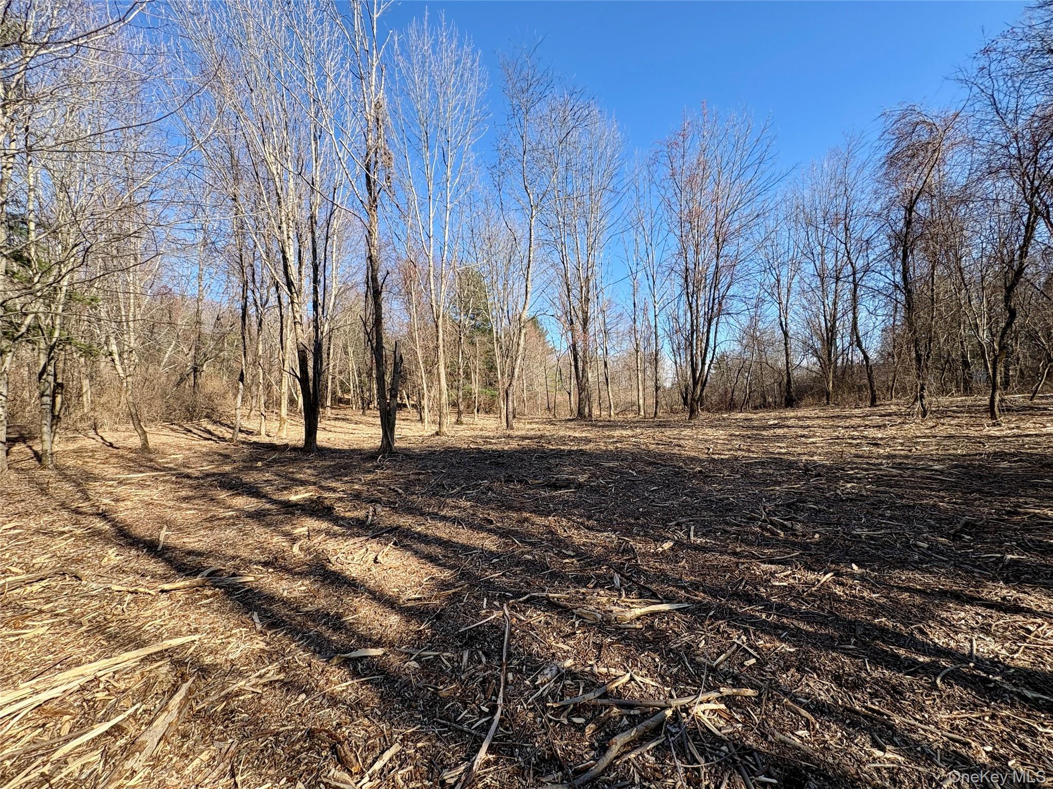 0 Route 7 Copake, NY 12516 - Photo 17 of 40 a view of road with large trees