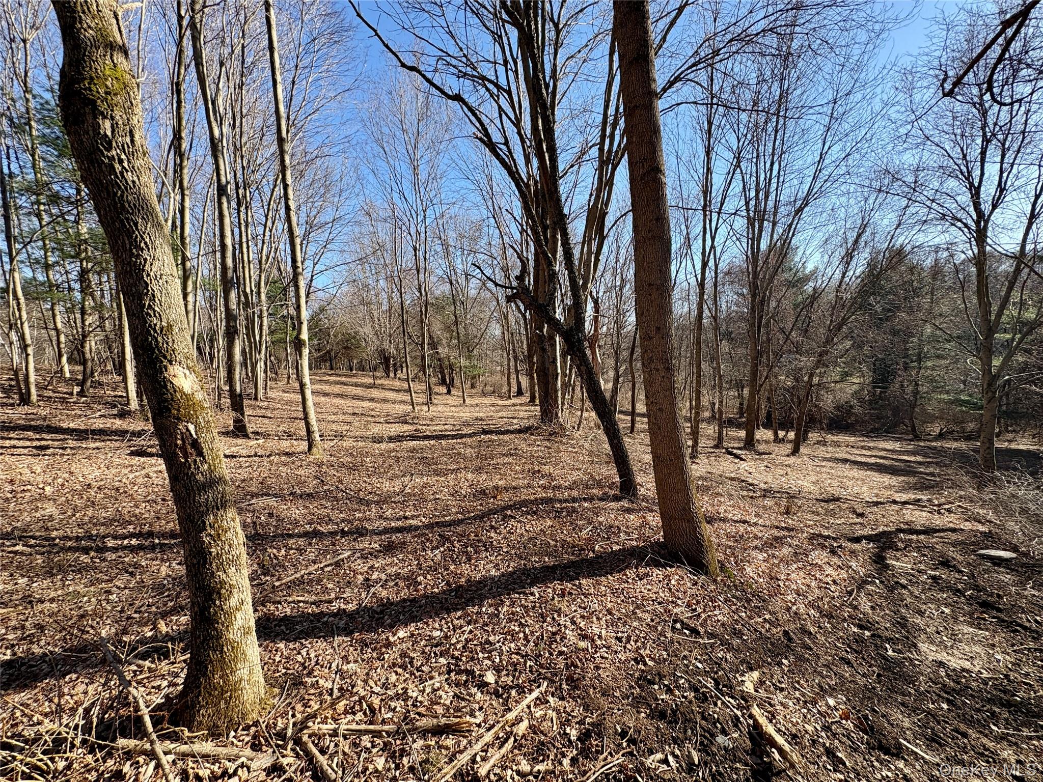 0 Route 7 Copake, NY 12516 - Photo 18 of 40 a view of a yard covered with snow on the road