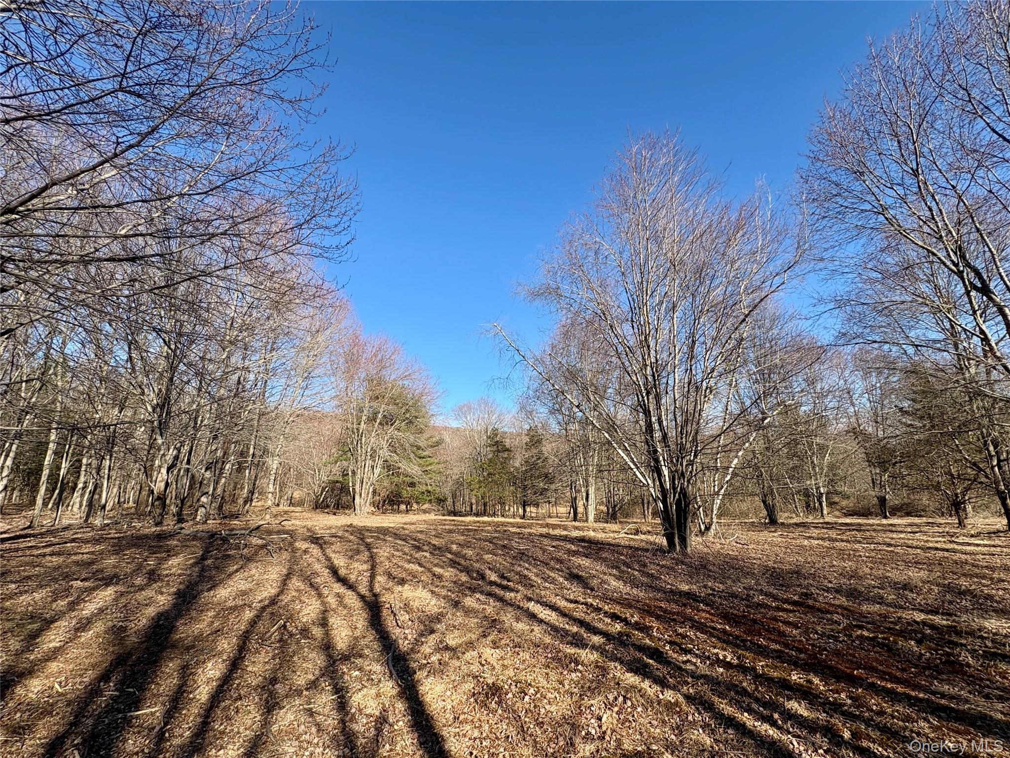 0 Route 7 Copake, NY 12516 - Photo 19 of 40 a view of a yard with a house