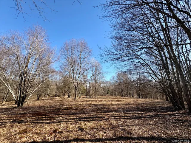 $545,000 | 0 Route 7, Copake, NY 12516