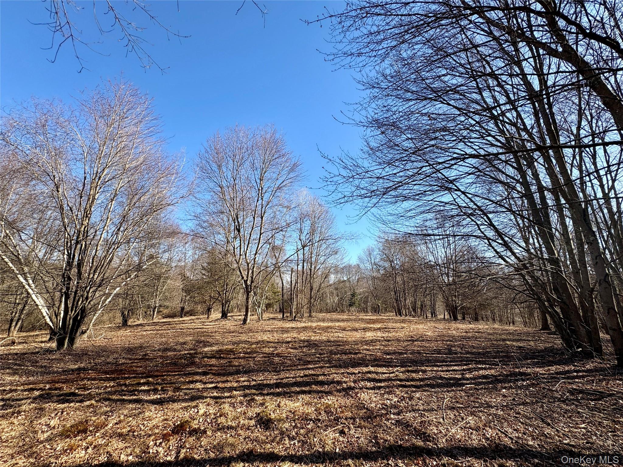 0 Route 7 Copake, NY 12516 - Photo 20 of 40 a view of yard covered with snow