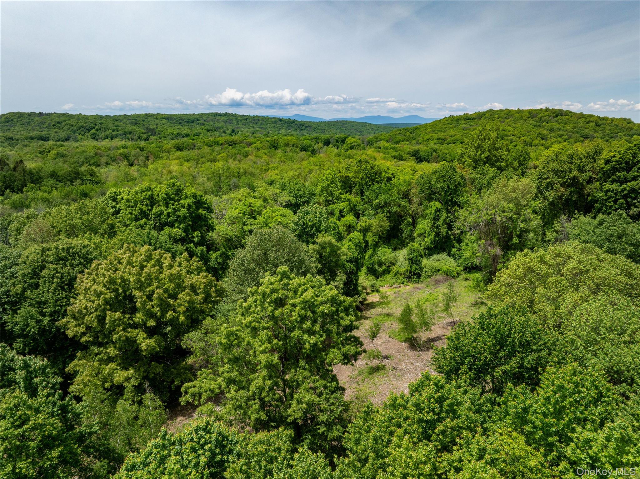 0 Route 7 Copake, NY 12516 - Photo 2 of 40 a view of a green yard