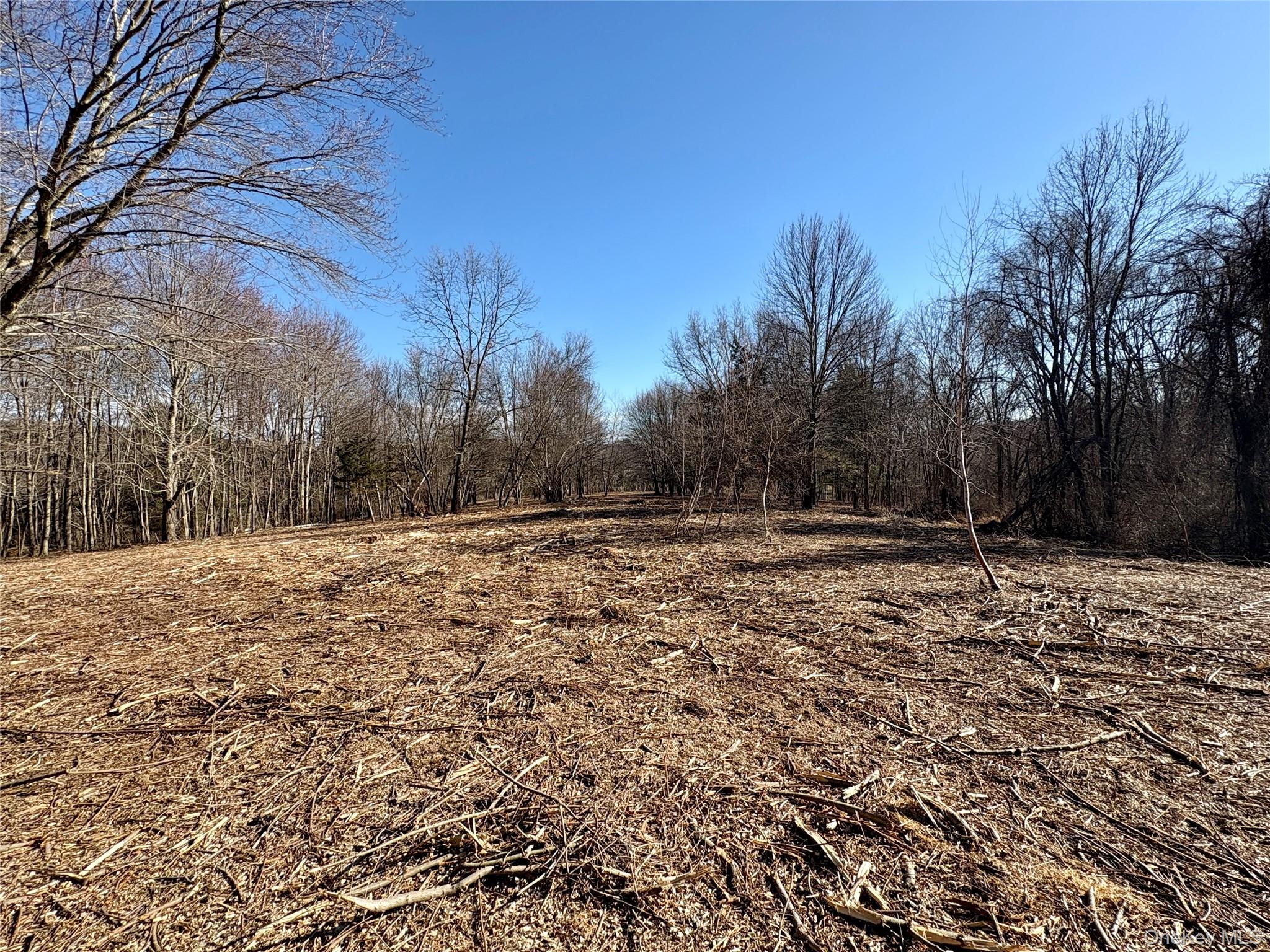 0 Route 7 Copake, NY 12516 - Photo 21 of 40 a view of a yard with trees
