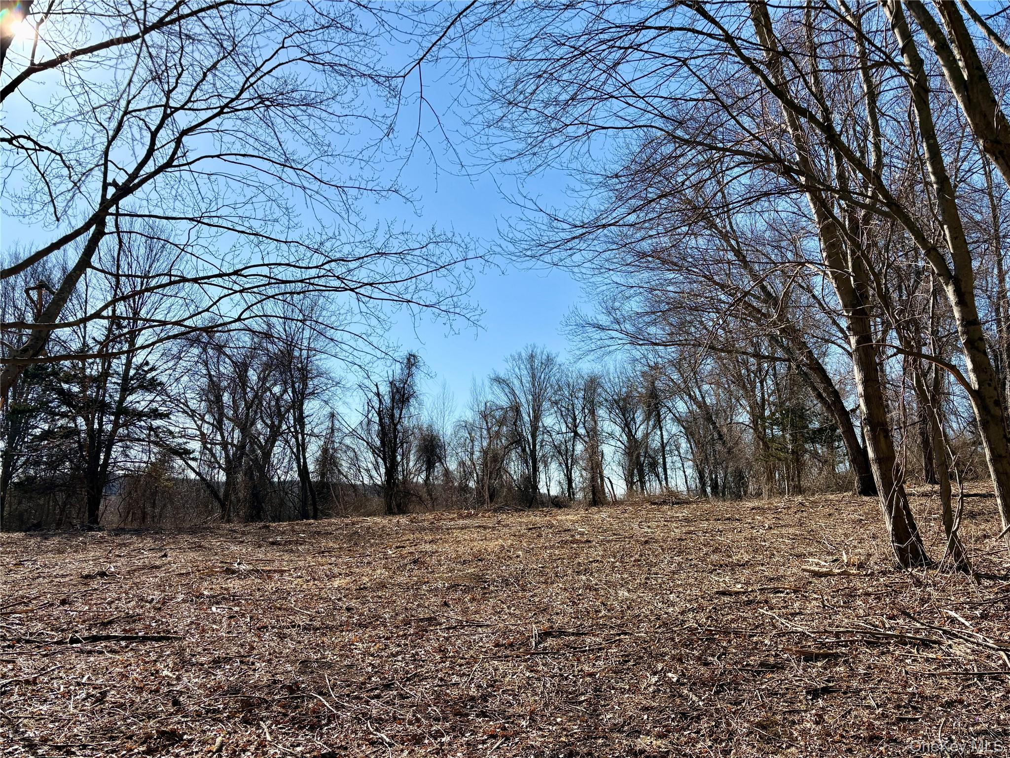0 Route 7 Copake, NY 12516 - Photo 22 of 40 a view of outdoor space with trees