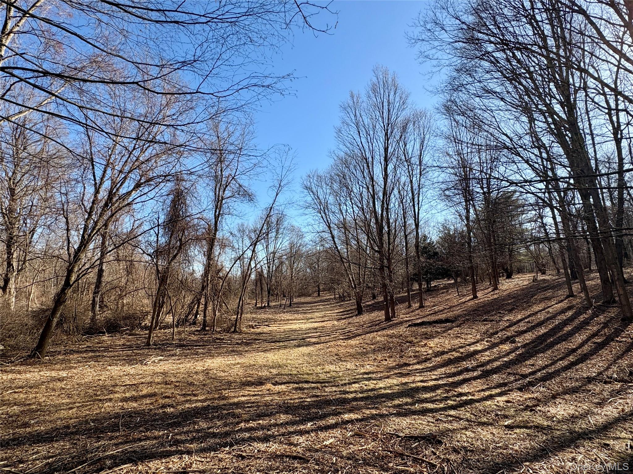 0 Route 7 Copake, NY 12516 - Photo 23 of 40 a view of city street with trees