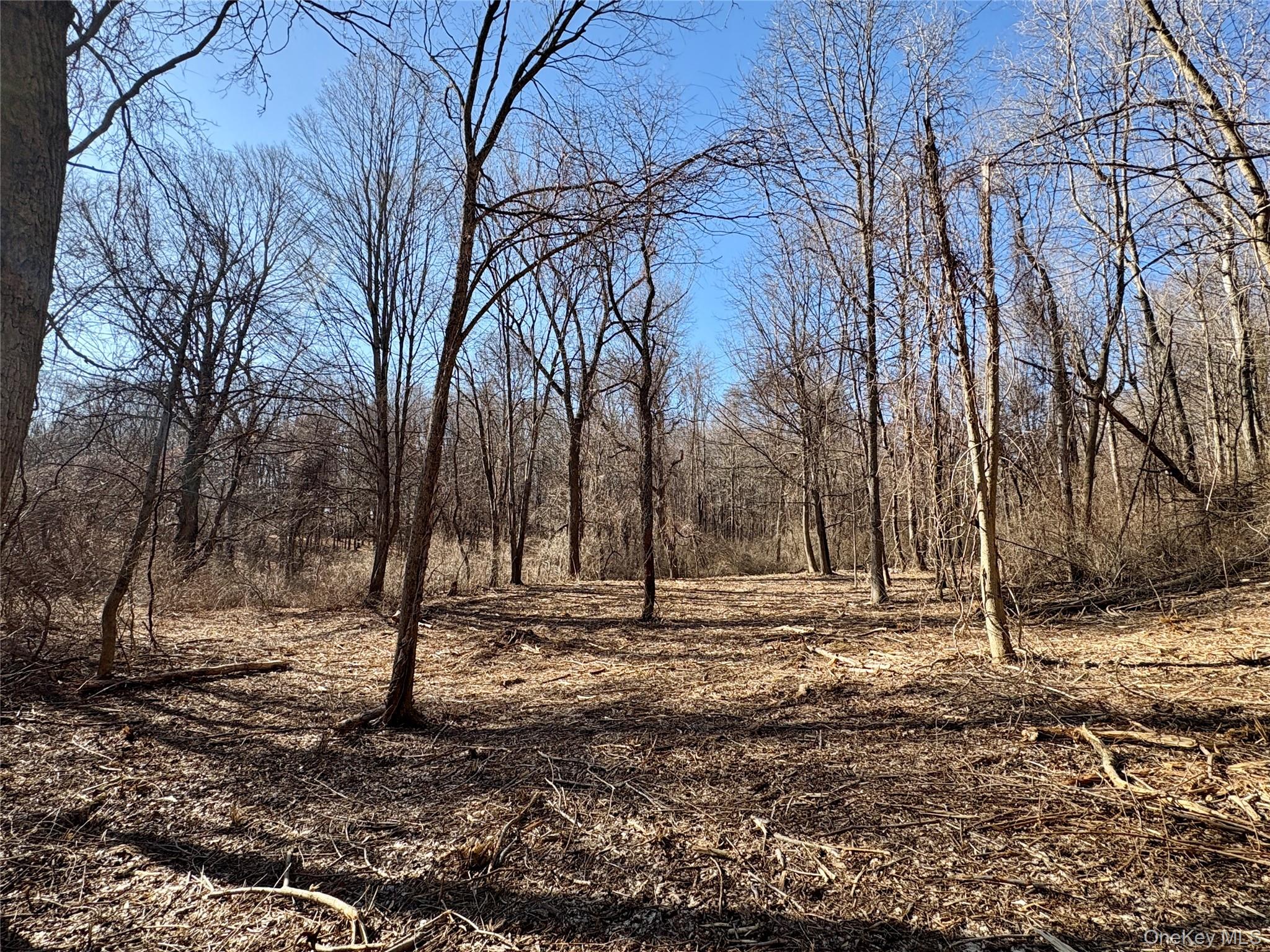 0 Route 7 Copake, NY 12516 - Photo 24 of 40 a view of empty space with large trees