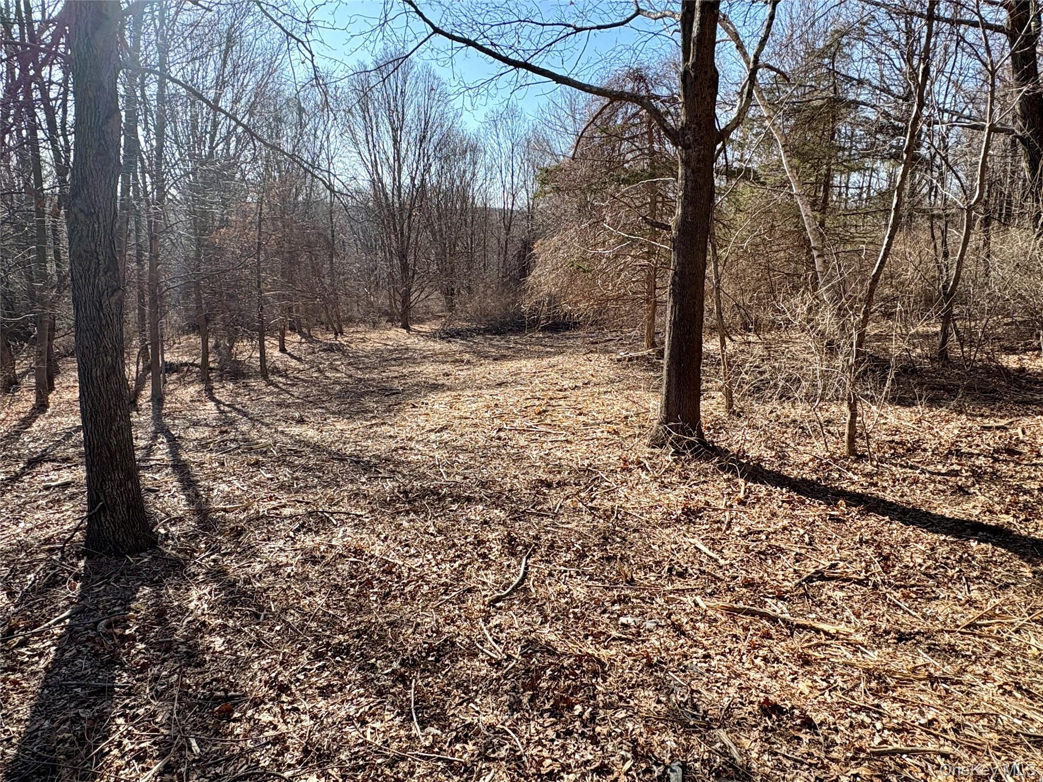 0 Route 7 Copake, NY 12516 - Photo 25 of 40 a view of a yard with trees