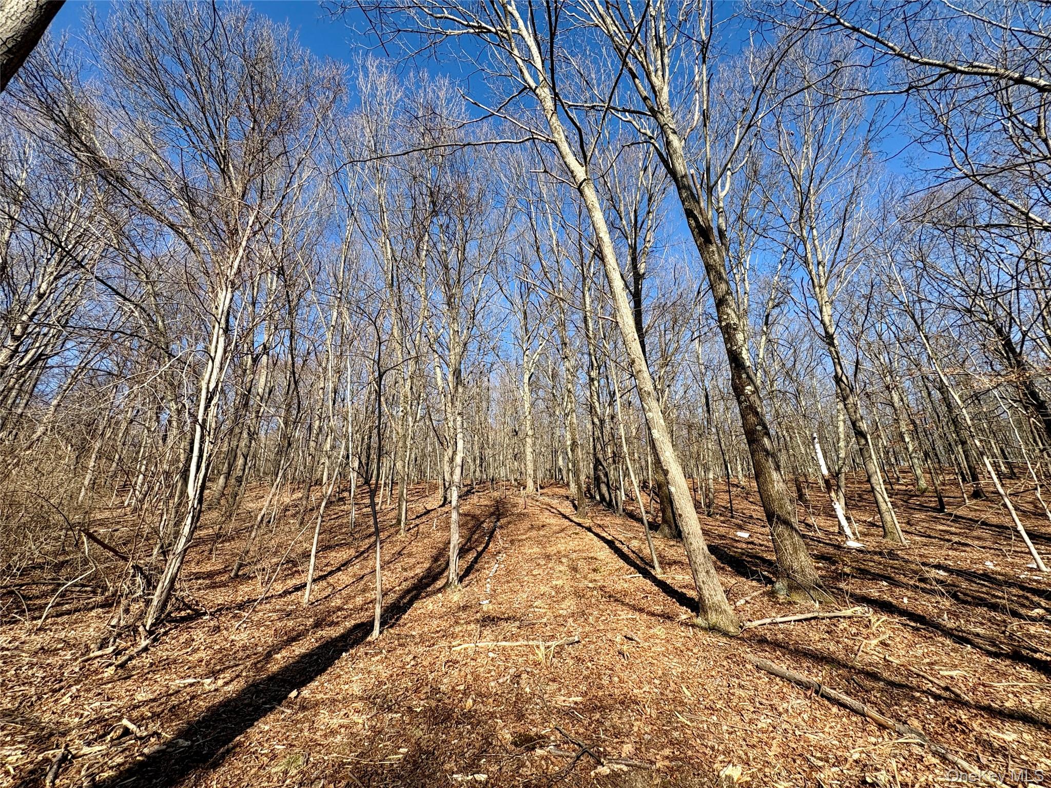 0 Route 7 Copake, NY 12516 - Photo 26 of 40