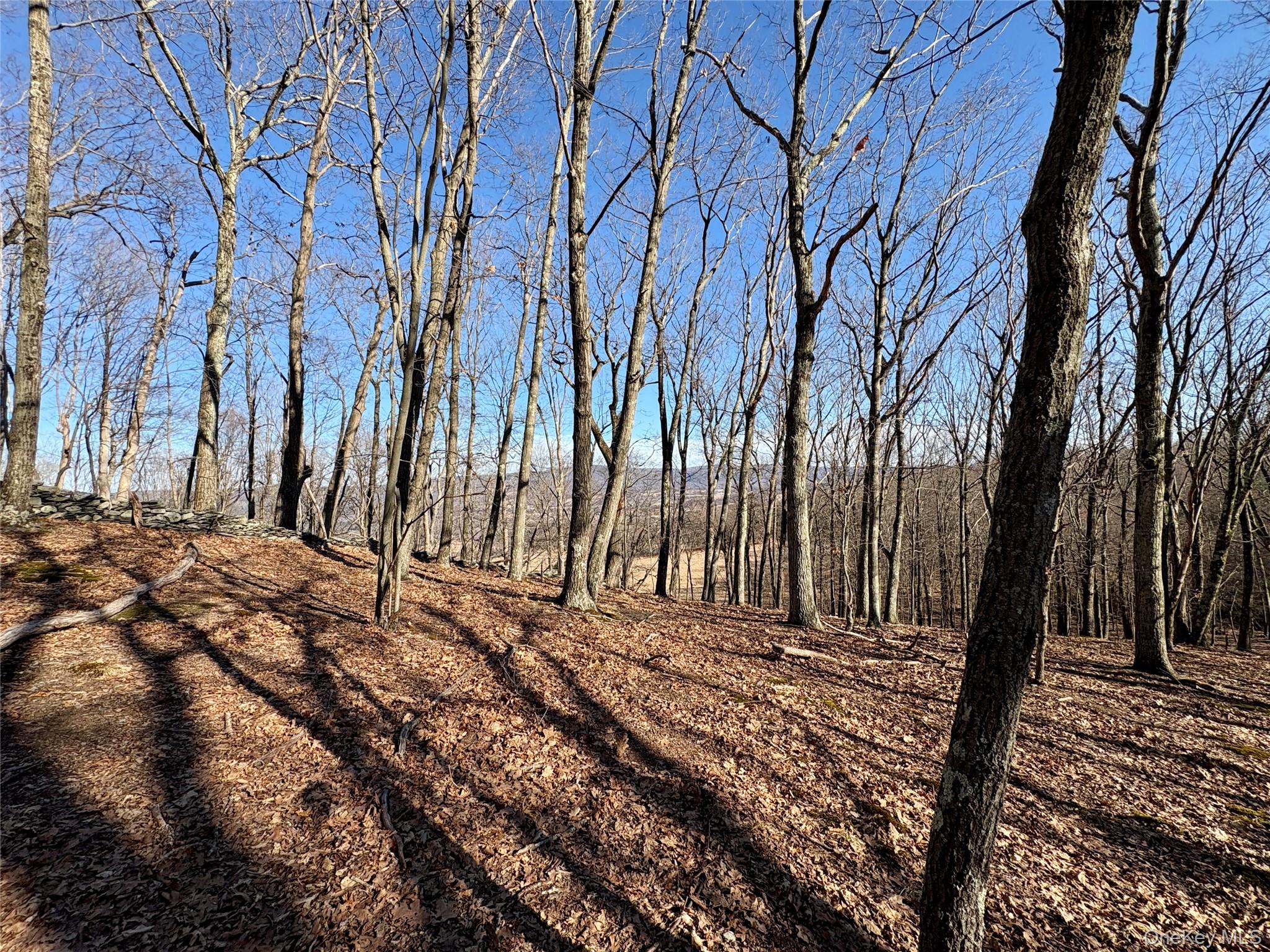 0 Route 7 Copake, NY 12516 - Photo 28 of 40 a view of a backyard of the house