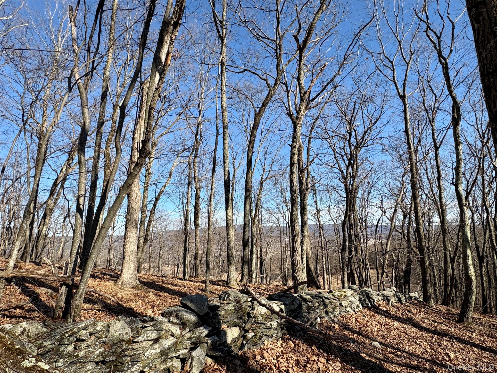 0 Route 7 Copake, NY 12516 - Photo 29 of 40 a view of a backyard of the house