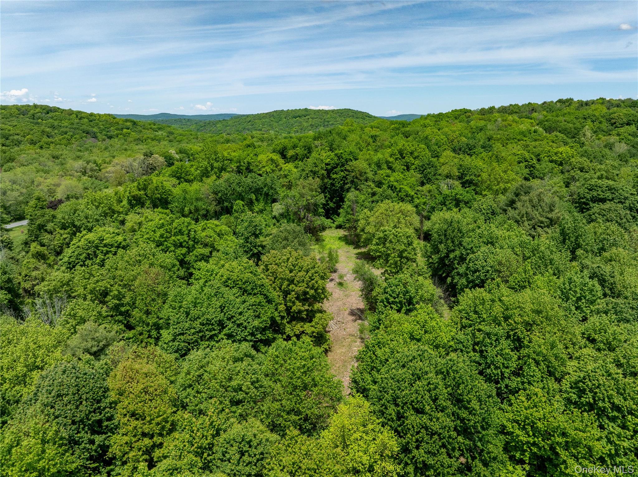 0 Route 7 Copake, NY 12516 - Photo 3 of 40 a view of a lush green forest