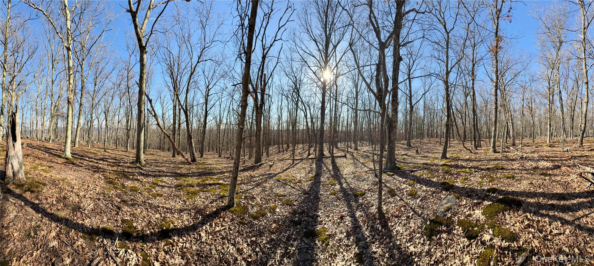 0 Route 7 Copake, NY 12516 - Photo 32 of 40 a view of a backyard of the house