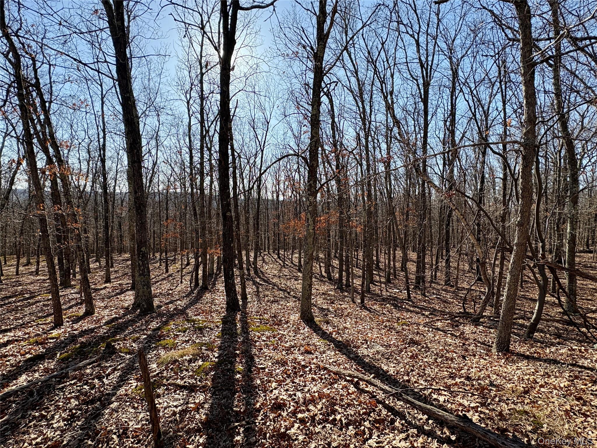 0 Route 7 Copake, NY 12516 - Photo 33 of 40 a view of yard