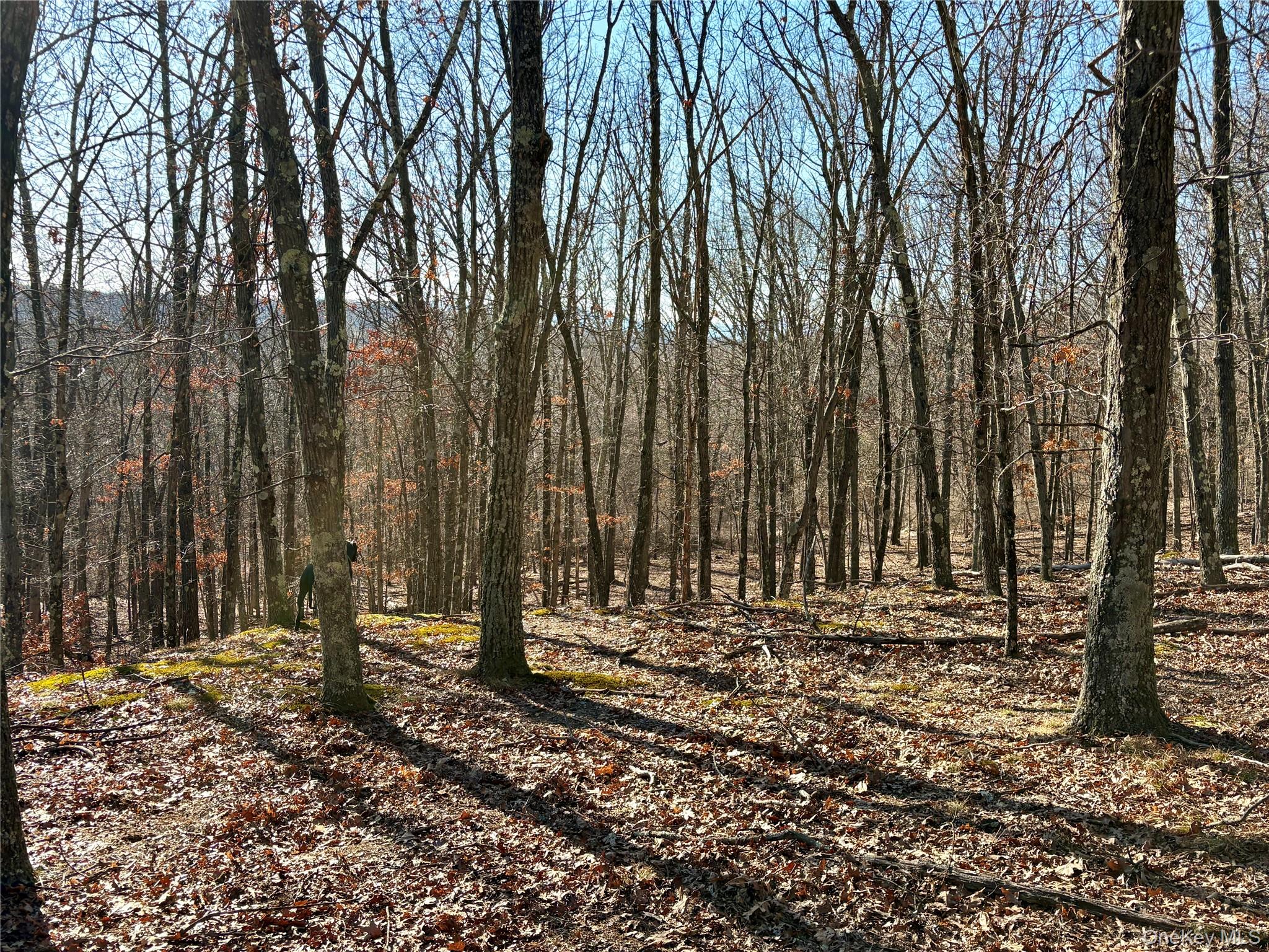 0 Route 7 Copake, NY 12516 - Photo 34 of 40 a view of outdoor space with wooden fence
