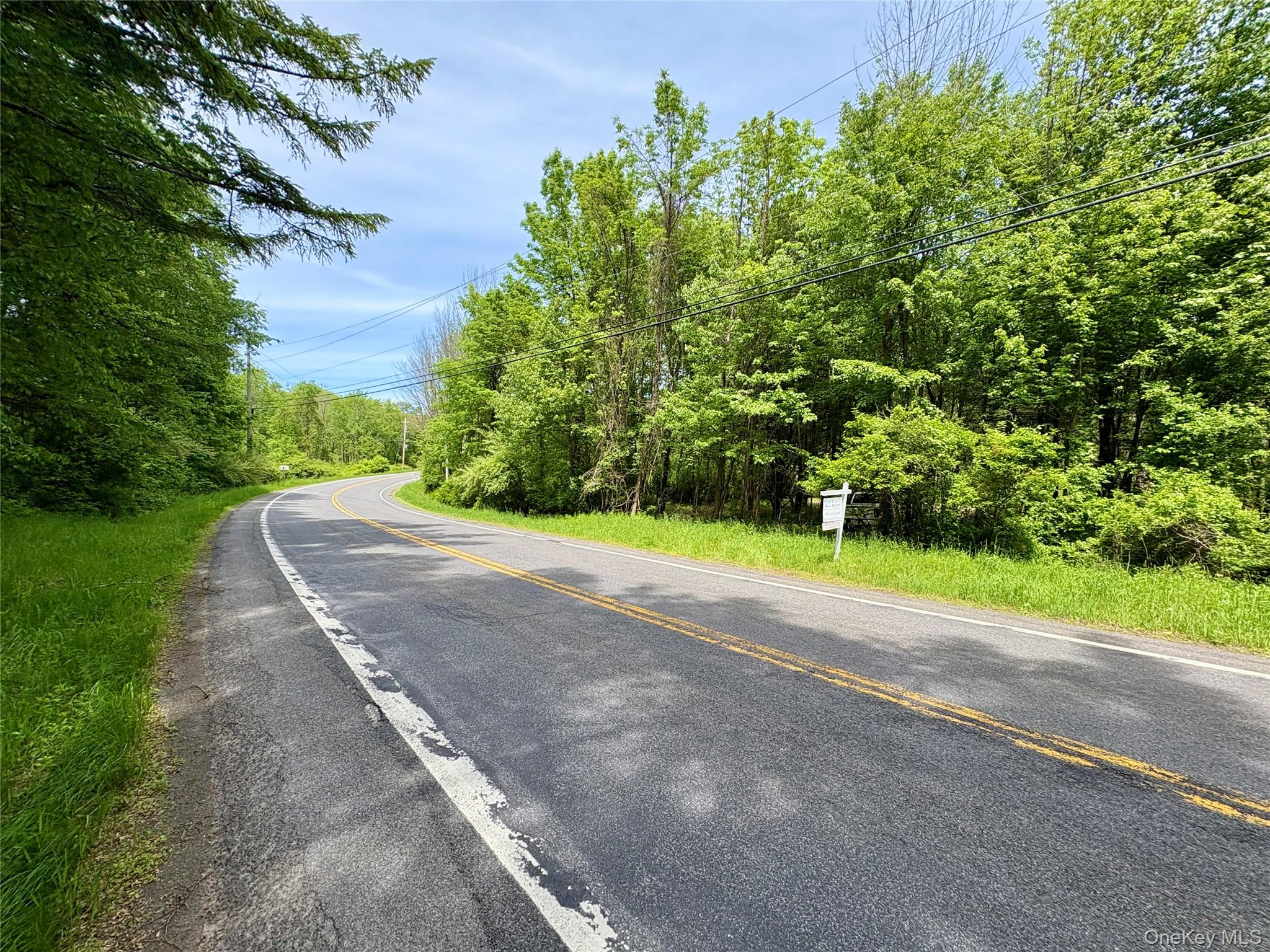 0 Route 7 Copake, NY 12516 - Photo 36 of 40 a view of a yard with potted plants and large trees